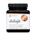 Youtheory Shilajit Advanced Capsule 90 Vegetarian Capsules
