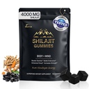 DLNIA 13-in-1 Shilajit Gummies with KSM-66® Ashwagandha | 4000 mg Himalayan Shilajit Extract (20:1), Choline & Botanicals | Sugar-Free, Vegan | Energy, Focus & Daily Vitality Support for Men & Women