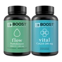 BoostCeuticals Popular Together Nattokinase 100 200 mg 4000FU and CoQ10 200 mg High Absorption with Bioperine 90 Bundle - No Additives – Vegan - Non GMO - Gluten Free Pure Supplement (2 Bottles)