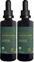 Global Healing Center - Organic Ashwagandha Supplements Drops - KSM-66 Ashwagandha Extra Strength for Men & Women, Helps Promote Relief from Stress, Mood Support, Organic (2 Fl Oz) (Pack of 2)