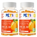 Pets Purest Glucosamine Chondroitin Gummies with MSM & Elderberry Extra Strength - Joint Support, Antioxidant Immune Support Supplement for Adults, Men & Women.(2 Pack) Orange