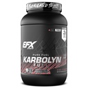 EFX Sports Karbolyn Fuel | Fast-Absorbing Carbohydrate Powder | Carb Load, Sustained Energy, Quick Recovery | Stimulant Free | 36 Servings (Kiwi Strawberry)