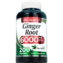 FITO MEDIC'S Lab | Ginger Root Capsules | 200 Capsules