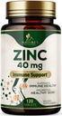 Zinc Supplements - High Potency Zinc 40mg Per Tablet - Best Zinc Supplement for Women & Men - Immune System Support & Antioxidant, Promotes Adult Skin Health, Vegan, Bottled in the USA - 120 Tablets