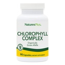 NaturesPlus Chlorophyll Complex - 90 Vegetarian Capsules - Nutritional Support for General Well-Being - Vegan - 45 Servings