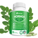 Moringa Capsules 800mg - Pure Moringa Powder Supplement for Energy, Immune, Skin & Gut Health - Caffeine-Free, Non-GMO Green Antioxidant Superfood 60 Vegan Capsules