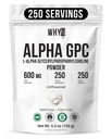 Alpha GPC Powder Alpha-Phosphorylcholine Choline Supplement Unflavored, Fine Powder for Smooth Mixing Non-GMO Vegan Additive-Free Gluten-Free, 150g (5.3 oz)