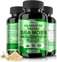 Irish Sea Moss Capsules 120ct Žaliavinė jūra Moss Wildcrafted Bladderwrack Burdock Šakninės Capsules Super Food Immune System Digestive Health Sea Malls