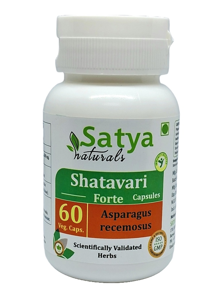 Shatavari (Asparagus racemosus) Forte Capsules, Pack of 60 x 500 mg. Veg. Capsules (Pack of 1)