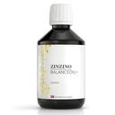 Zinzino BalanceOil+ - Omega Balance Supplement with Wild-Caught Fish Oil, Olive Oil, Omega-3 & Vitamin D3 - Supports Heart Health & Well-Being - 300ml