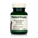 Standard Process Inc. Feline Renal Support - Cat Supplement to Maintain Kidney & Urinary Health, Cat Supplies with Whole-Food Based Ingredients, Feline Supplement to Aid Renal Function - 90 Tablets