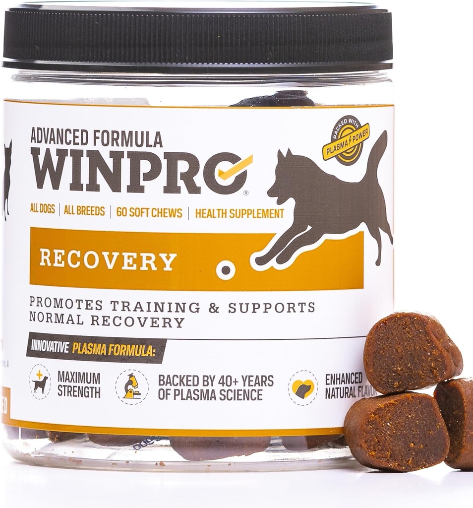 WINPRO Recovery Chews for Dogs, Plasma-Powered for Active Dogs, Immune System Support, and Dog Training Support for Competition and Sport Muscle Recovery and Agility, 60 Count, Made in USA