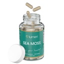 Lumen Naturals Sea Moss for Women – with Irish Moss, Bladderwrack & BioPerine – 2100mg Per Serving – 180 Capsules – 60 Servings – Non-GMO, Vegan & Gluten-Free (180 Count (Pack of 1))
