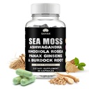 SAHAK Organic Sea Moss Capsules with Ashwagandha, Rhodiola, Panax Ginseng & Burdock Root – 90 Vegan Capsules, Lab Tested | Irish Sea Moss Complex for Daily Wellness, Energy & Skin Support