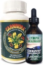 Carnivora Ultimate Combo - Vegi Caps a Lymfodrenáž na podporu imunitného systému a odpadovej vody (Bundle with 1 Bottle Vegi Caps and 1 Bottle Lymph Drainage)