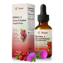 Kidney Cleanse Drops with Cranberry Extract, Milk Thistle, Chanca Piedra & Artichoke - Herbal Supplement for Liver Kidney Detox & Urinary Tract Support, 60ml