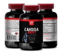 pre Workout Nitric Oxide - Nitric Oxide Unique Complex - AAKG Pump Support, OKG Energy Boost, GKG Nitric Oxide Circulation, AKIC Endurance Enhancer, Nitric Oxide Supplement 1 Bottle 90 Tablets