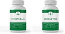 PURE ORIGINAL INGREDIENTS Horsetail, (100 Capsules) Always Pure, No Additives or Fillers, Lab Verified (Pack of 2)