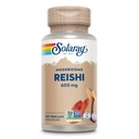 SOLARAY Reishi Mushroom 600mg - Reishi Mushroom Capsules for Immune Support - Vegan, Lab Verified - 60-Day Money-Back Guarantee - 100 Servings, 100 VegCaps