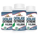 Rise-N-Shine Catalase Extreme Supplement 10,000 with Saw Palmetto, Biotin, Fo-Ti, PABA - Hair Supplements for Strong Hair - 180 Capsules - Pack of 3 (90-Day Supply)