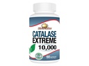 10,000 Catalase Hair Supplement with Catalase, Saw Palmetto, FoTi, Biotin, PABA and More 60 Count…