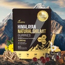 Shilajit for Men & Women Gummies | 4000mg High Potency 10-in-1 Formula with Pure Himalayan Shilajit, Ashwagandha, and 75% Fulvic Acid | Sugar-Free Vegan, 85+ Trace Minerals