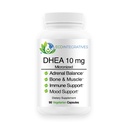 DHEA 10 mg Micronized Supplement – DHEA for Hormonal Balance, Adrenal Health, Bone & Muscle Health for Men & Women – Non-GMO, Gluten-Free, Soy-Free – 90 Vegetarian Capsules