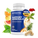 BioMatrix Adrenal Fatigue Supplement, Cortisol Manager, 5-MTHF, B Vitamins, Vitamin C, Adaptogens, Bioflavonoids, DHEA, Inositol, 30-60 Day Supply | 120 Veggie Caps