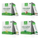 Nature's Sunshine Chlorophyll Stick Pack Variety Bundle (120 to-Go Sticks) – Delicious Detox & Gut Health Support in Convenient Stick Packs (Lime Twist, Crisp Apple, Spearmint & Sweet Melon)