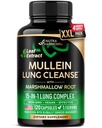 Mullein Lung Detox - Mullein Leaf Extract - Marshmallow Root | Echinacea | Oregano | Quercetin | NAC - 15-in-1 Lung Support & Cleanse for Smokers Supplement - Made in USA - As Drops - 120 Capsules