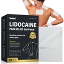 Sumifun 4% Lidocaine Patches, Long Lasting Plaster Patch for Knee, Shoulder, Muscle, Joints with Natural Ingredients, Extended Patch with Lidocaine (Large, Count, 29)