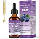 Liposomal Kidney Cleanse Detox & Repair - Liver Support & Cranberry Urinary Health Supplement - 30-in-1 Liquid Drops for Bladder Support - Blueberry Flavor - 60ml