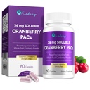 Cranberry Pills for Women with 36 mg Soluble PACs, Sourced from New England Whole Fruit Cranberries Powder, Cranberry Pills for UTI Defense & Urinary Tract Health, 60 Caps