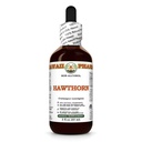 Hawaii Pharm Hawthorn Alcohol-Free Extract, Glycerite for Heart Wellness, Supports Circulation, Promotes Lipid Balance, Antioxidant Rich, Boosts Immune Strength - 2 fl.oz