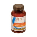 Glucosamine Chondroitin MSM Complete Joint Care Supplement | Glucosamine HCl, Chondroitin, MSM, Boswellia & Ginger | Supports Joint Mobility & Flexibility | 100 Tablets