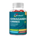 Ashwagandha Gummies with L-Theanine & Black Pepper Extract for Daily Stress Relief, Mood Support & Mental Clarity - Non-GMO, Gluten-Free, Vegan - 60 Count