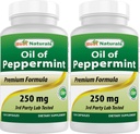 Nejlepší Naturals Peppermint Oil 250 mg 120 Kapsle (120 Počet balení po 2)