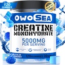 Creatina Monohidrato Gummies para homes e mulleres 5000mg Monohidrato de creatina por servir para o impulso de enerxía muscular 120 Conde Chewable 5g Suplemento de creatina Sugar Free Vegan (1 Pack, Blue Raspberry)