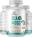 Organic Irish Sea Moss Pills - Wildcrafted Dr Seamoss Blend Turmeric, Burdock Root & Blackderwrack, Enhanced with Black Pepper - 60 kapselia