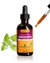 Herb Pharm Ashwagandha, Alcohol Free: Liquid Extract, USDA Organic | Traditional Stress Support Supplement, Ashwagandha Root Glycerite, Tasty Adaptogen Extract for Adults | Up to 6 Week Supply, 2 oz*