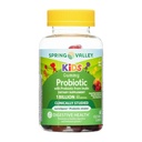 Kids Probiotic Gummies with Prebiotic – 60 Vegetarian Gummies, Probiotics for Toddlers, Children's Probiotic, Kids Immune Support, Digestive Balance (Pack of 1)