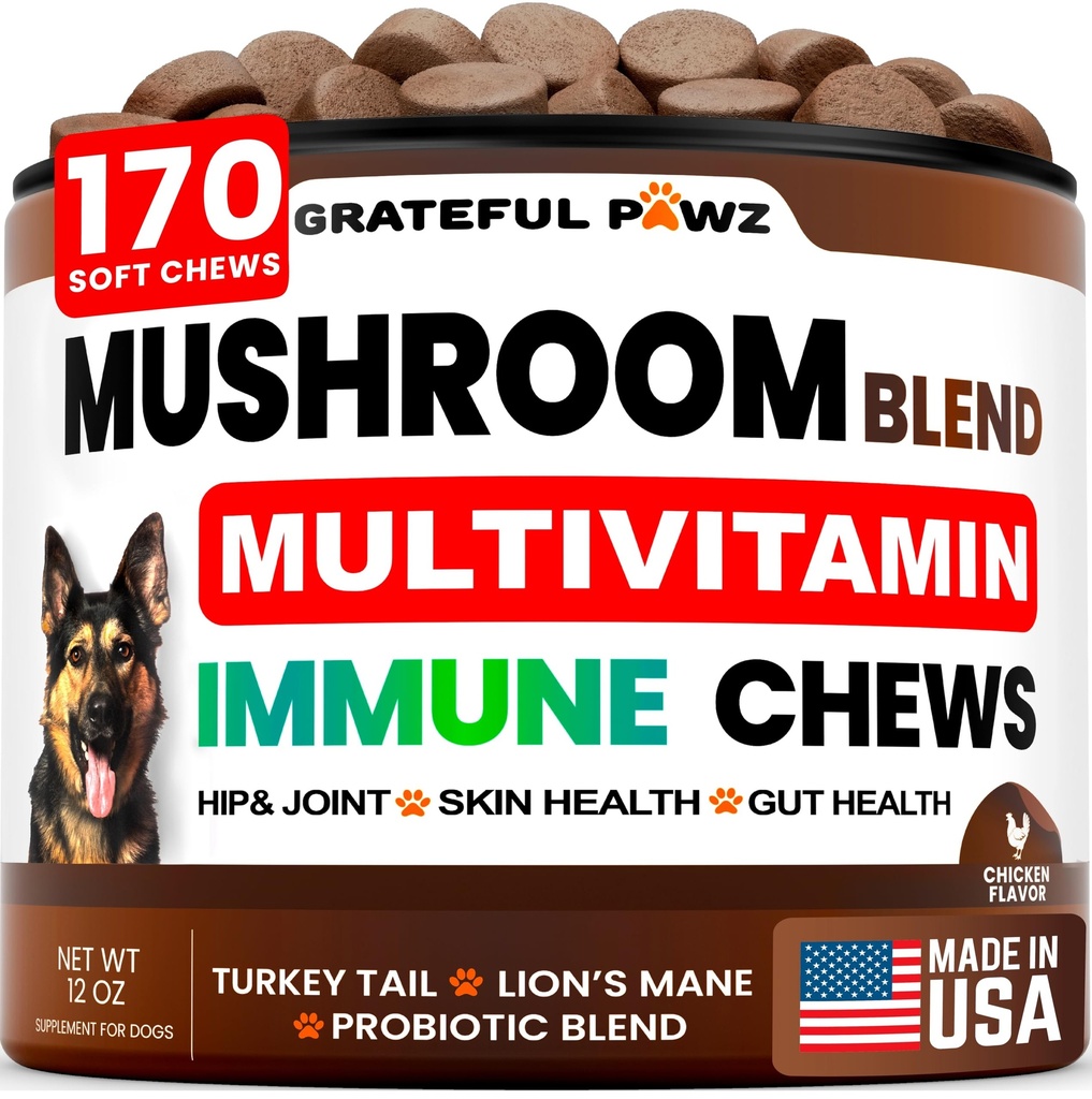Turkey Tail Mushroom Supplement for Dogs - 170 Chews - Mushrooms for Dogs - Reishi, Lion’s Mane, Glucosamine Multivitamin - Immune Booster, Gut, Hip & Joint Health Support Vitamins, Energy & Skin