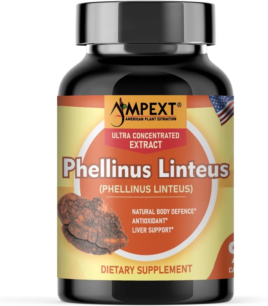Phellinus linteus moshroom ekstrakt - Premium kvalitet, bare fruktekropper, antioksidant, immunisme Booster, Liver Support, 90 Veg Caps.
