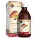 Garden of Life Organics Plant Iron & Organic Herbs - Organic Plant-Sourced Iron + Herbs (Cranberry-Lime Liquid) 8oz Liquid