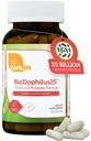 Zahler BioDophilus25, 25 Billion CFU Probiotic + Prebiotic - 11 Strains Daily Probiotic Supplement - Kosher Probiotics for Women for Digestive Health, Probiotics for Men for Gut Health (60 Capsules)