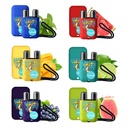 Essential Oil Nasal Inhaler, Pure and Natural Peppermint Double Holes Aromatherapy Nasal Stick Set for Tension Stress Relief and Focus Boost (01)