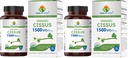 Brieofood Organic Cissus Quadrangularis 1500mg, 45 Servings, Vegetarian, Gluten Free, 90 Vegetarian Tablets (Pack of 2)