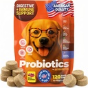 Probiotics for Dogs, Dog Probiotics for Digestive Health, Gut Support & Yeast Balance – 120 Probiotic Chews for Dogs with Pumpkin, Digestive Enzymes & Prebiotics