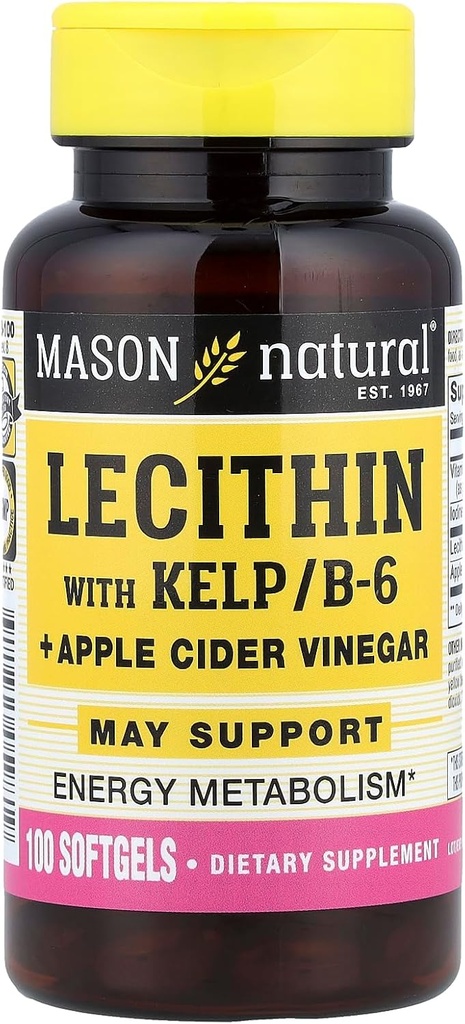 MASON NATURAL Lecithin з KELP, B 6 Plus Cider Vinegar