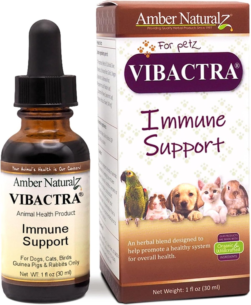 Amber NaturalZ Vibactra Imune 支持对狗、猫、鸟、几内亚猪和兔子的草药补充 – Pet Herbal Blend 总体健康 – 1 Fluid Ounce Glass Bottle – 在美国制造